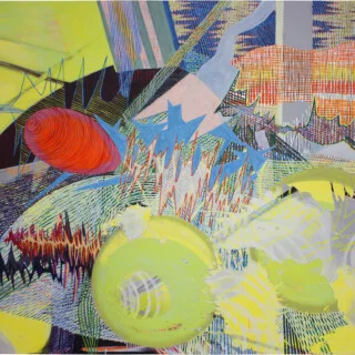 Claudia Chaseling: high plane escape, 2011